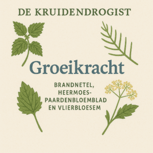 Groeikracht