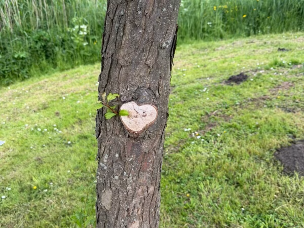 Niet zoeken, maar ontmoeten