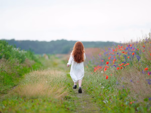 Een jaarreis door de natuur. Een praktische kruidenopleiding.