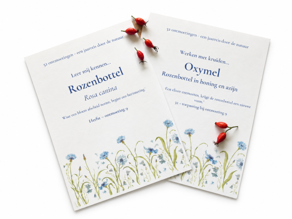 Jouw gratis eerste ontmoeting