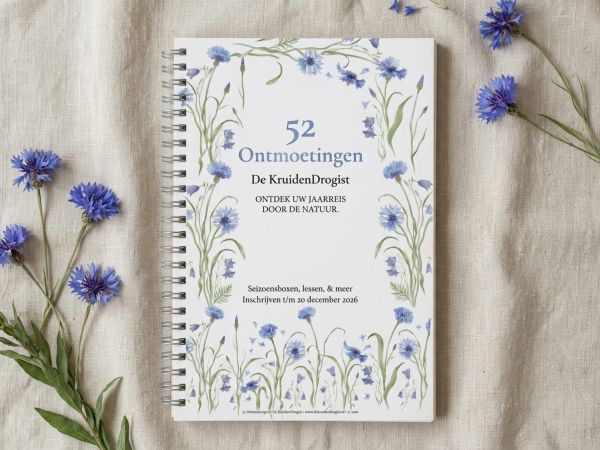 Download hier je gratis brochure